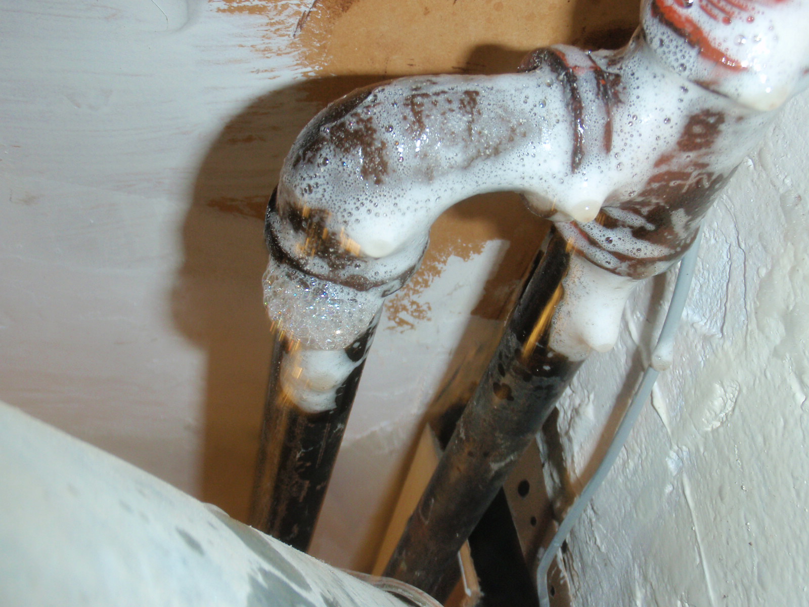 Trunk Slammer Stories